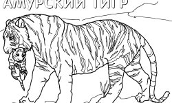 Раскраска Красная книга