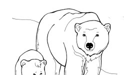 Раскраска Животные и их детеныши